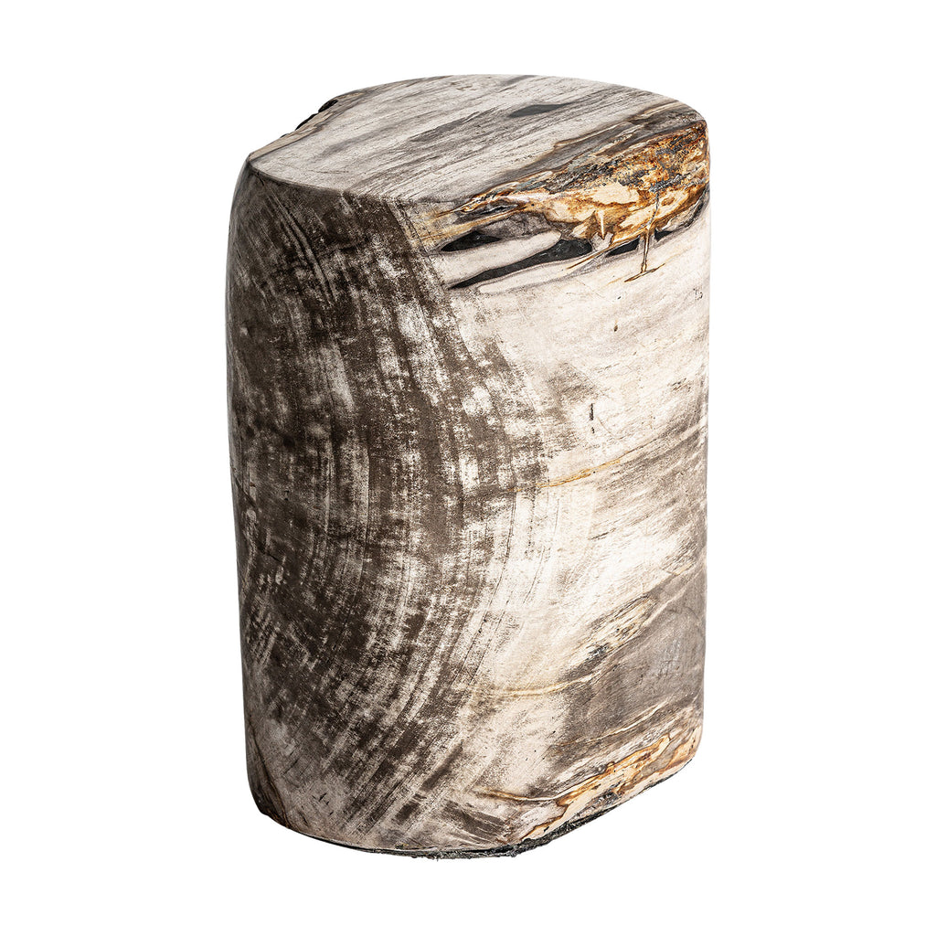 Beistelltisch aus versteinertem Holz, Ethnic Stil, Braun, handgefertigt.