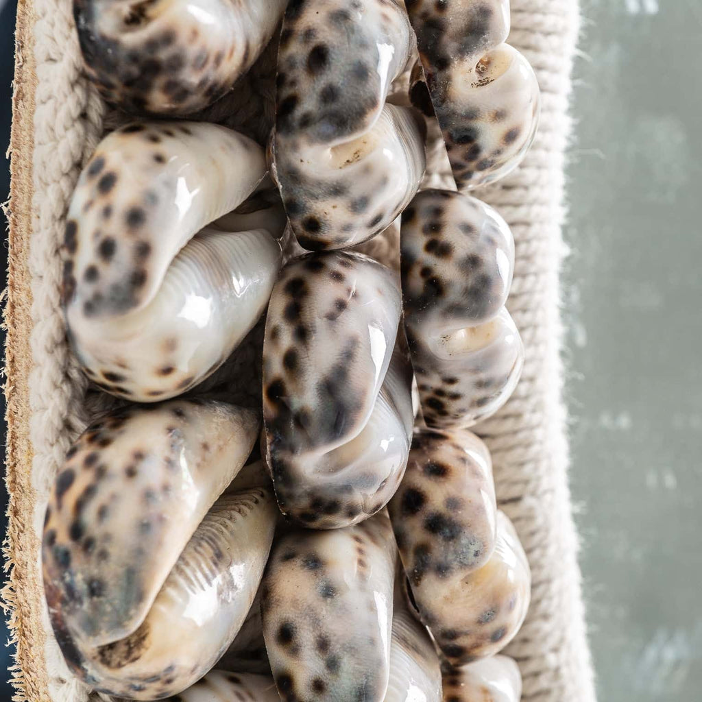 Runder Spiegel im Nordic Stil kombiniert mit Muscheln - Maison Oudh